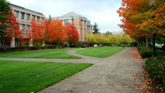 The Impact of Campus Climate on Queer-Spectrum Student Academic Success