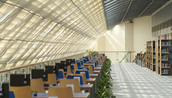 Foundational Literature