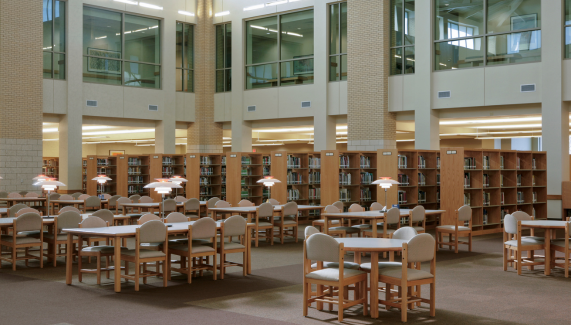 Lessons Learned from the Field: An Interview with Sue Rankin, President of Rankin Climate