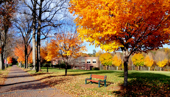 Exploring the relationship between strip clubs and rates of sexual violence and violent crime