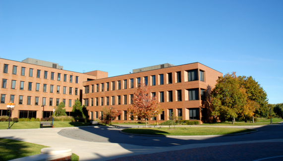 In good company: Social network diversity may protect men against perpetrating sexual violence